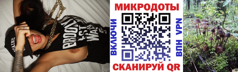 Купить  Людиново  Псилоцибиновые грибы MAGIC MUSHROOMS 